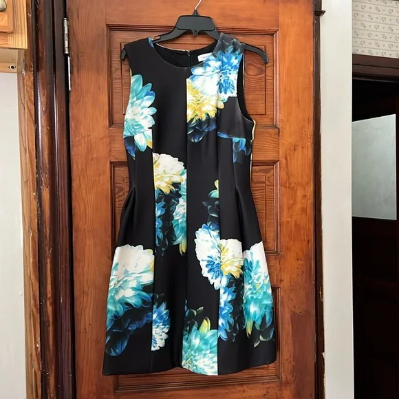 green emerald velvet dress Calvin Klein Women's Sleeveless Seamed Fit-and-Flare Dress, Ultramarine, 10  at Amazon Women's Clothing store